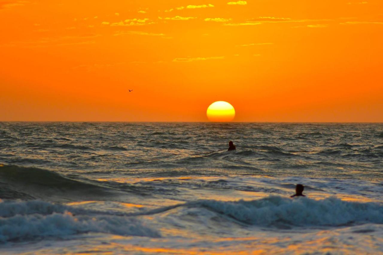 Anna Maria Island Beach Palms 7A เบรเดนทันบีช ภายนอก รูปภาพ